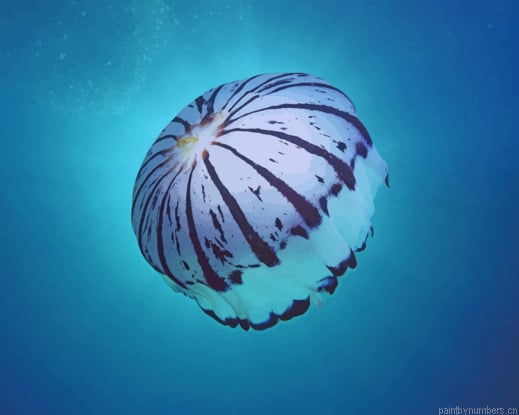 Purple Striped Jellyfish Painting By Numberss.png