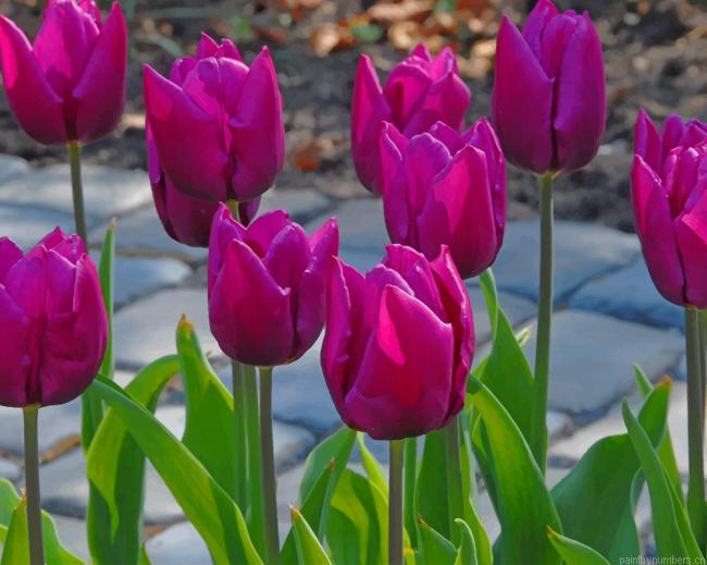Purple Tulips Painting By Numbers.png