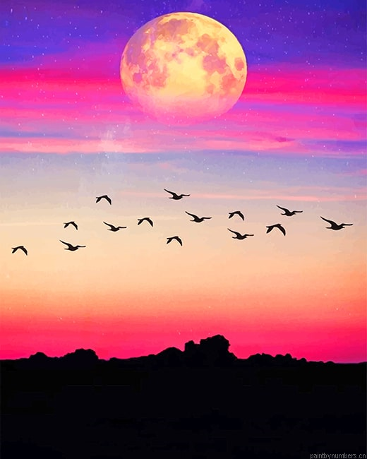 Purple View Birds Silhouette Painting By Numbers.png