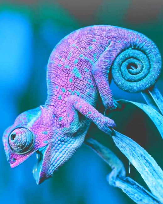 Purple And Blue Chameleon Animals Painting By Numbers.png