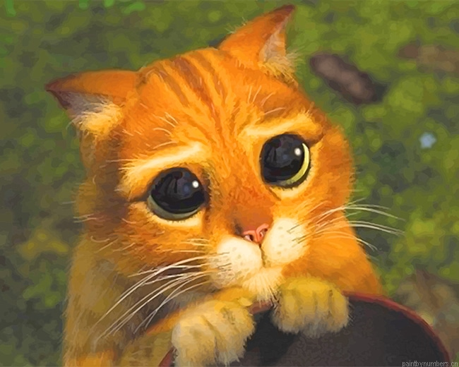 Puss In Boots Animations Painting By Numberss.png