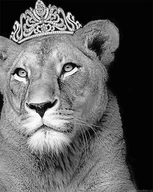 Queen Lioness Animals Painting By Numberss.png