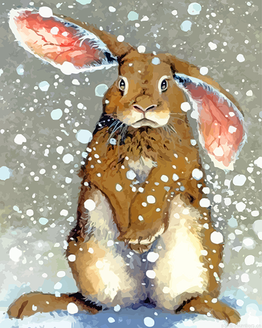 Rabbit In Snow Painting By Numbers.png