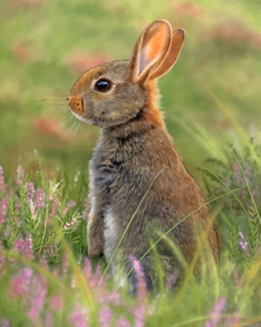 Rabbit In The Garden Animals Painting By Numberss.png