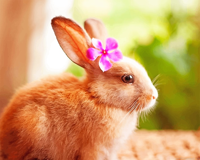 Rabbit With Flower Animals Painting By Numberss.png