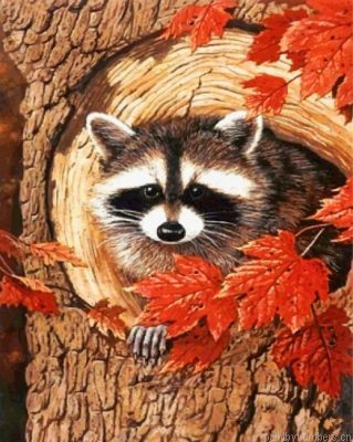 Raccoon In The Fall Painting By Numbers.png