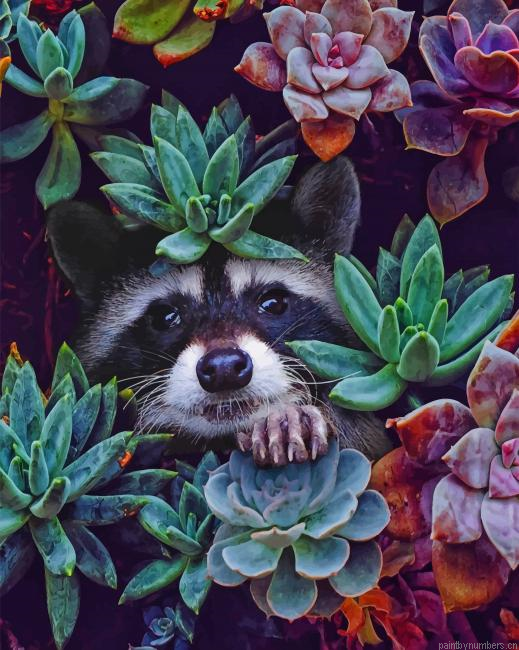 Raccoon On Succulents Plants Painting By Numberss.png