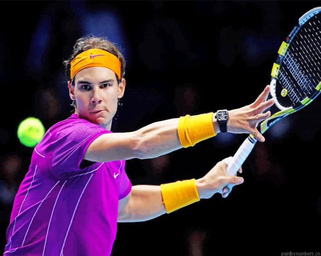 Rafael Nadal Painting By Numberss.png