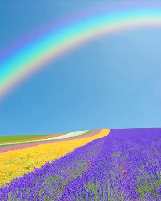 Rainbow Beautiful Scenery Landscapes Painting By Numbers.png