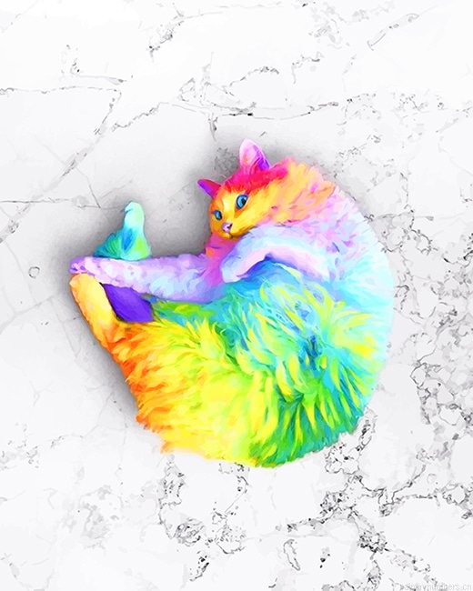 Rainbow Cat Animals Painting By Numberss.png