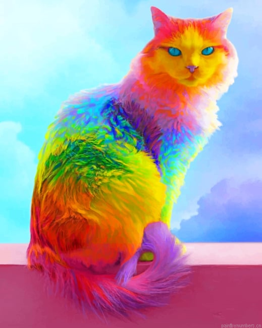 Rainbow Cat Painting By Numberss.png
