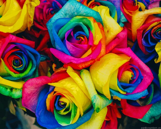 Rainbow Flowers Painting By Numberss.png