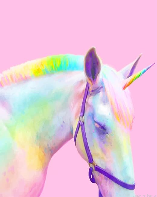 Rainbow Horse Unicorn Animals Painting By Numberss.png