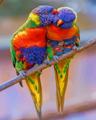 Rainbow Lorikeet Birds Painting By Numbers.png