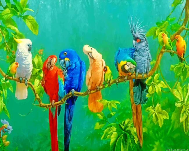 Rainbow Parrots Birds Painting By Numbers.png