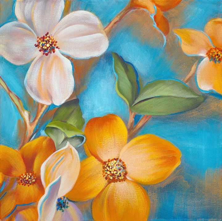Rainbow Plumeria Painting By Numbers.png