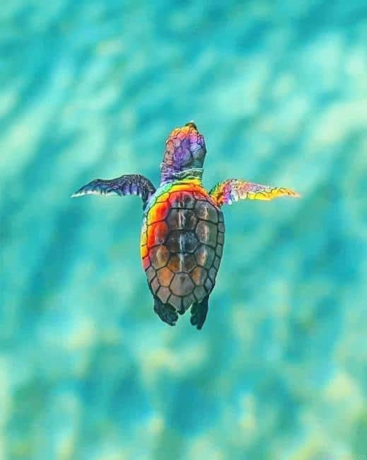 Rainbow Sea Turtle Painting By Numberss.png