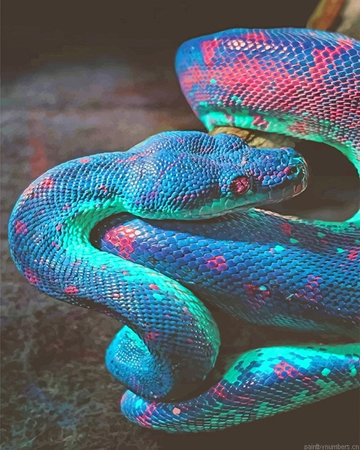 Rainbow Shimmering Snake Reptiles Painting By Numbers.png