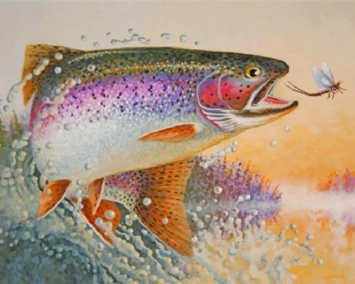 Rainbow Trout Fish Painting By Numbers.png