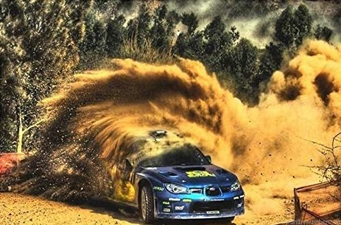 Rally Car Painting By Numberss.png