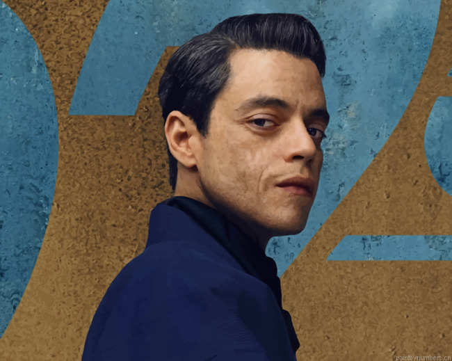 Rami Malek Movie Star Actors Painting By Numberss.png