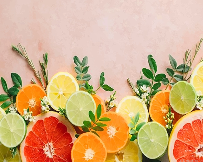 Rangpur Fruit Photography Food Painting By Numbers.png