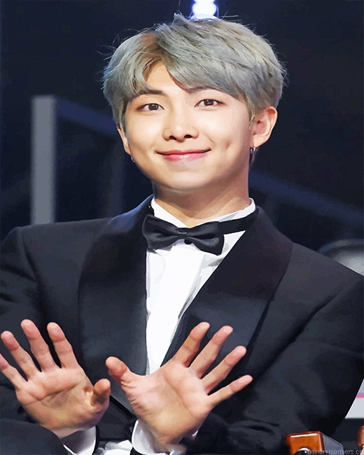 Rap Monster Kim Namjoon Rappers Painting By Numberss.png