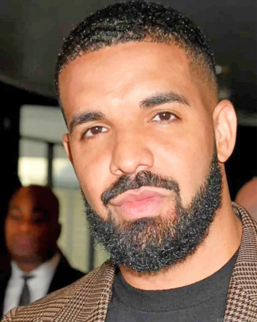 Rapper Drake Painting By Numberss.png