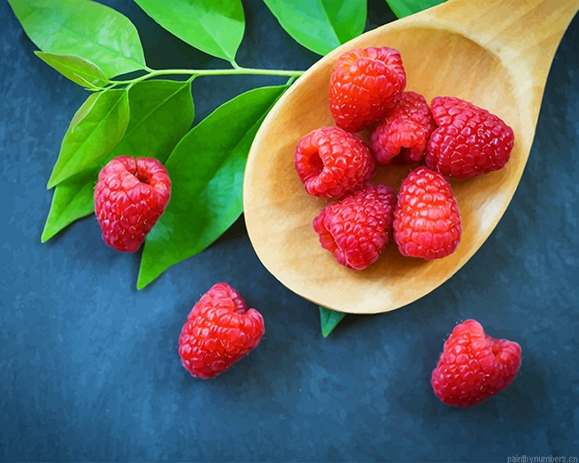 Raspberry Fruit Food Painting By Numberss.png