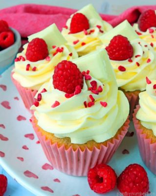 Raspberry White Choc Cupcakes Painting By Numbers.png