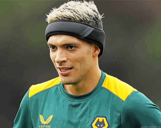 Raul Alonso Jimenez Painting By Numberss.png