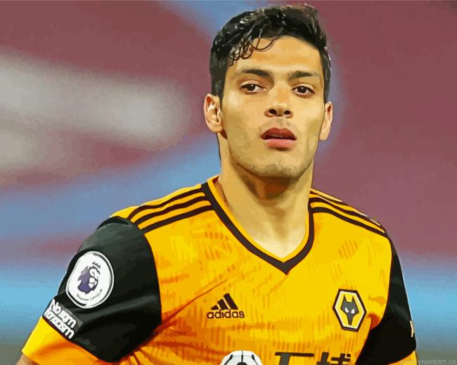 Raul Jimenez Painting By Numberss.png