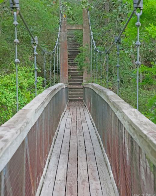 Ravine Walk In Florida Nature Painting By Numberss.png