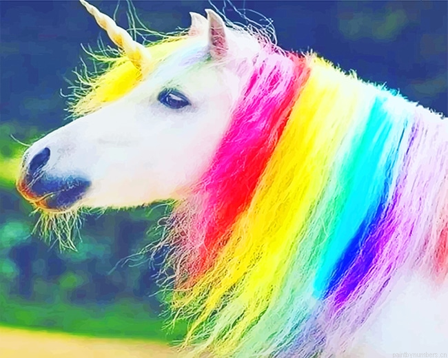 Real Unicorn Animals Painting By Numberss.png