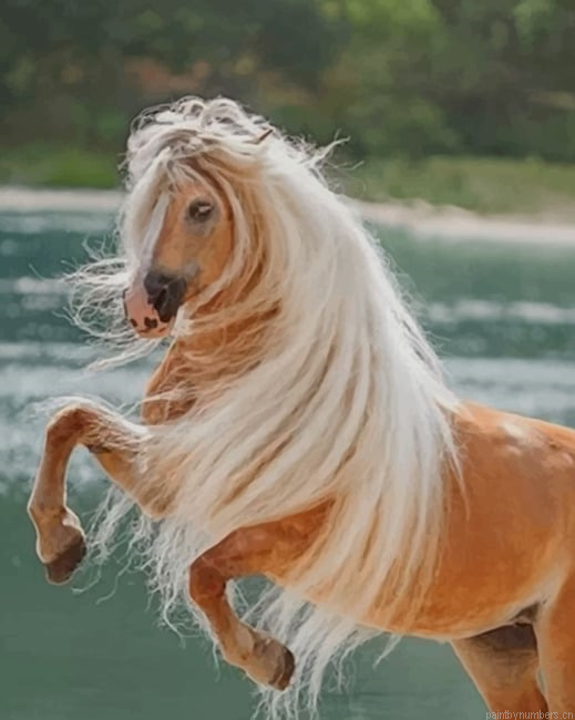 Rearing Horse Animals Painting By Numberss.png