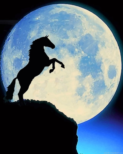 Rearing Horse Moon Silhouette Painting By Numbers.png