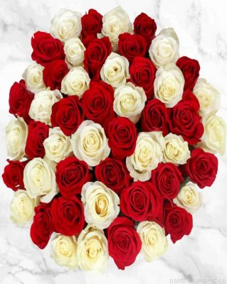 Red And White Roses Painting By Numbers.png