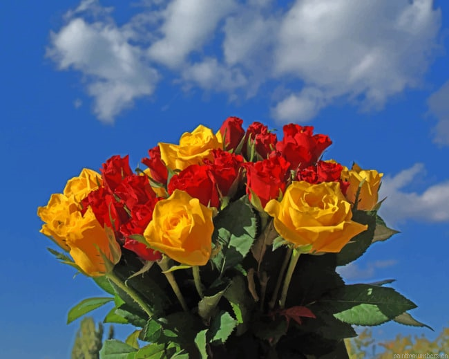 Red And Yellow Roses Bouquet Flowers Painting By Numberss.png