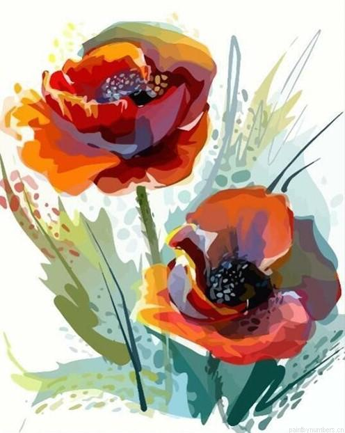 Red Anemone Flowers Painting By Numberss.png