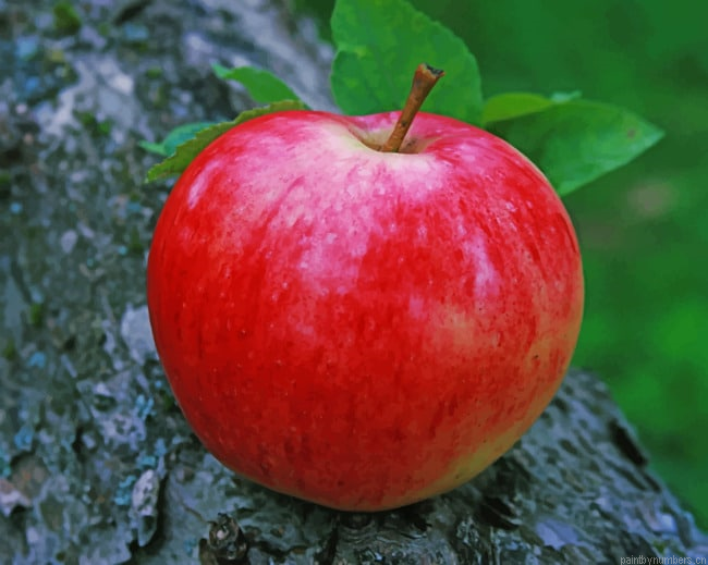 Red Apple Fruit Food Painting By Numberss.png