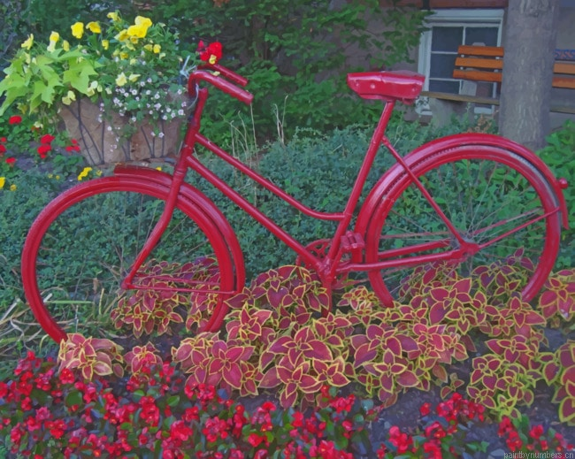 Red Bicycle And Flowers Painting By Numberss.png