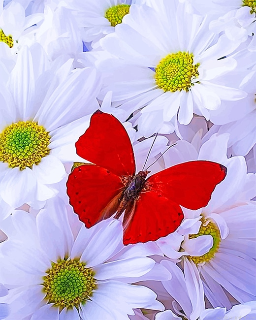 Red Butterfly On White Flower Insects Painting By Numberss.png