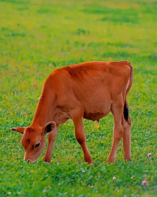 Red Calf Grazes Animals Painting By Numberss.png