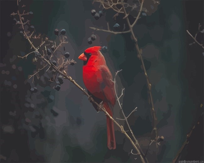 Red Cardinal Birds Painting By Numberss.png
