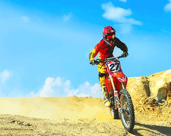 Red Dirt Bike Desert Painting By Numberss.png