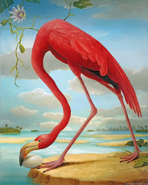 Red Flamingo Bird Painting By Numbers.png