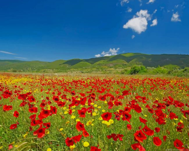 Red Flowers Field Nature Painting By Numberss.png
