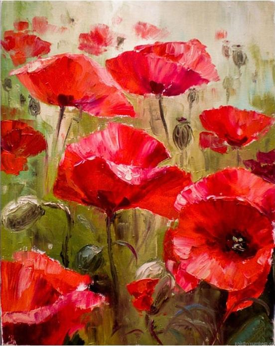 Red Flowers Painting By Numbers.png