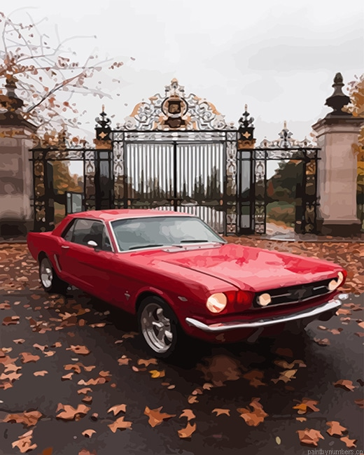 Red Ford Mustang Cars Painting By Numberss.png