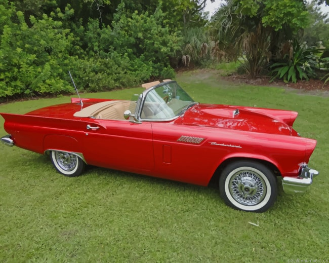 Red Ford Thunderbird Car Painting By Numberss.png